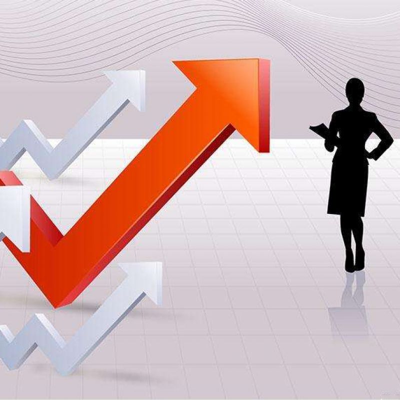 电子商务案例分析系统软件